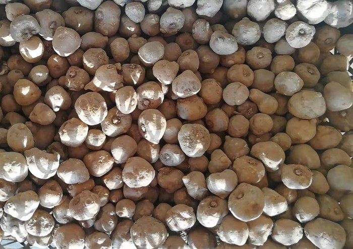 ħ�����Ӷ�������