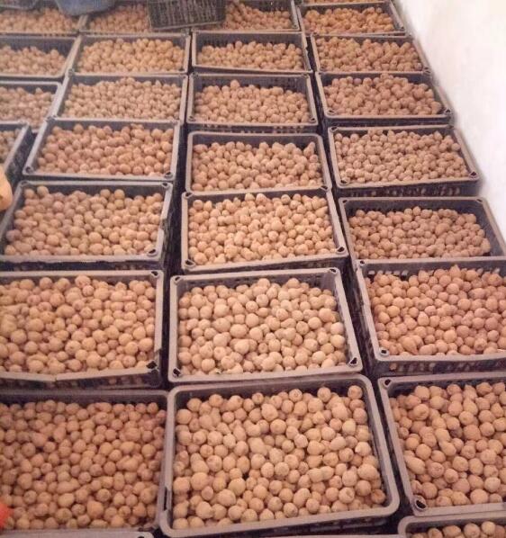 ħ������